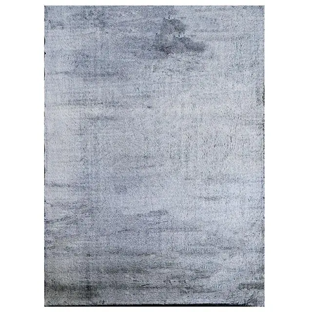 Famalica Area Rug 2