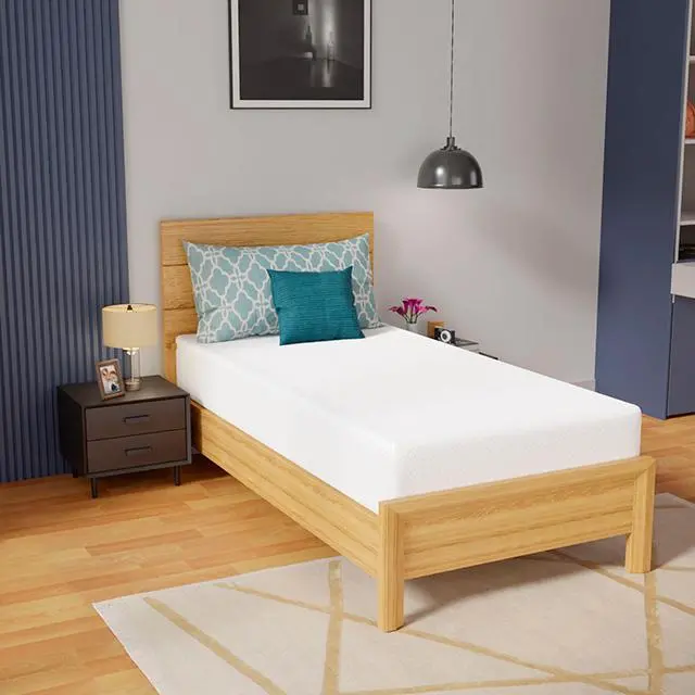 Coreopsis 10" Twin Memory Foam Wave Comfort 1