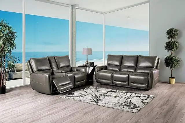 Phineas Power Loveseat, Gray 2