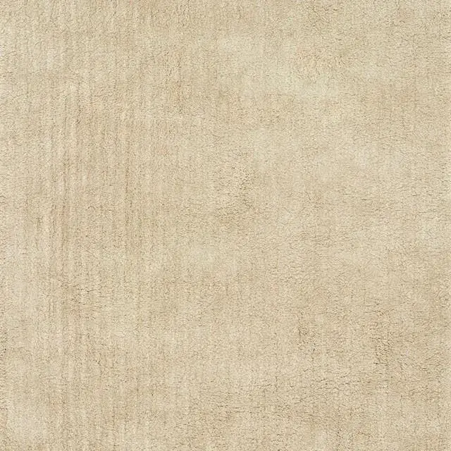 Zala Shag Medium Rug 1