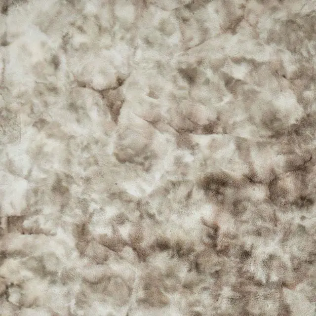 Famalica Area Rug 1