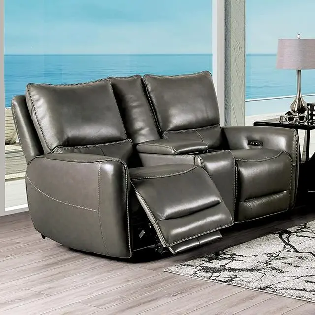 Phineas Power Loveseat, Gray 1