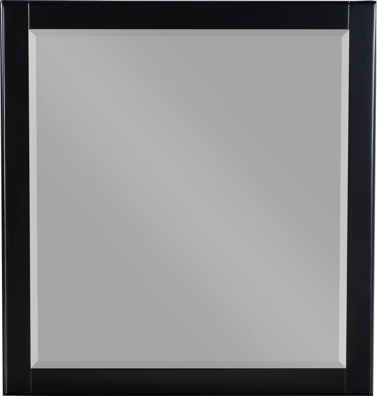 Zayne Black Mirror 1