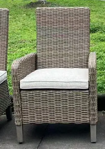 Laguna Heights Arm Chair With Cushion (Set Of 2) 1