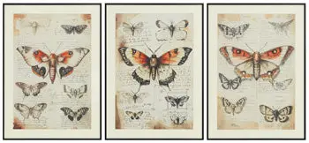 Jossletts Wall Art (Set Of 3) 1