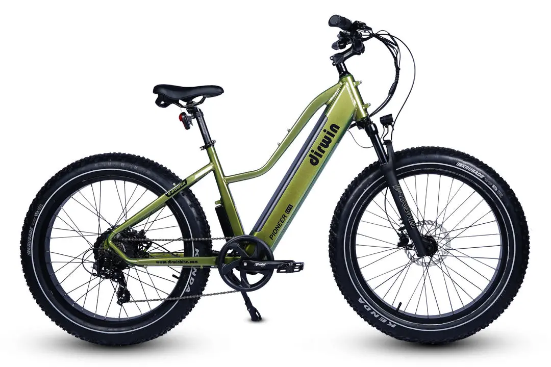 Dirwin 750W Pioneer Lite Hunting Electric Bike 1