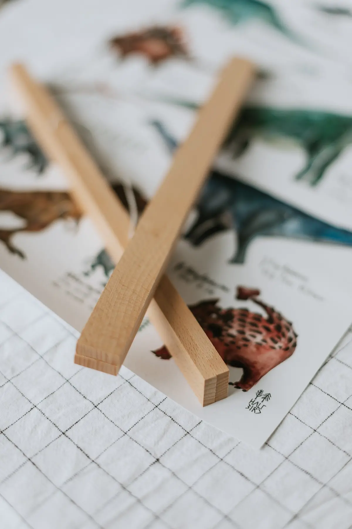 Posterleiste Buche | Din A4 – Din A2 1