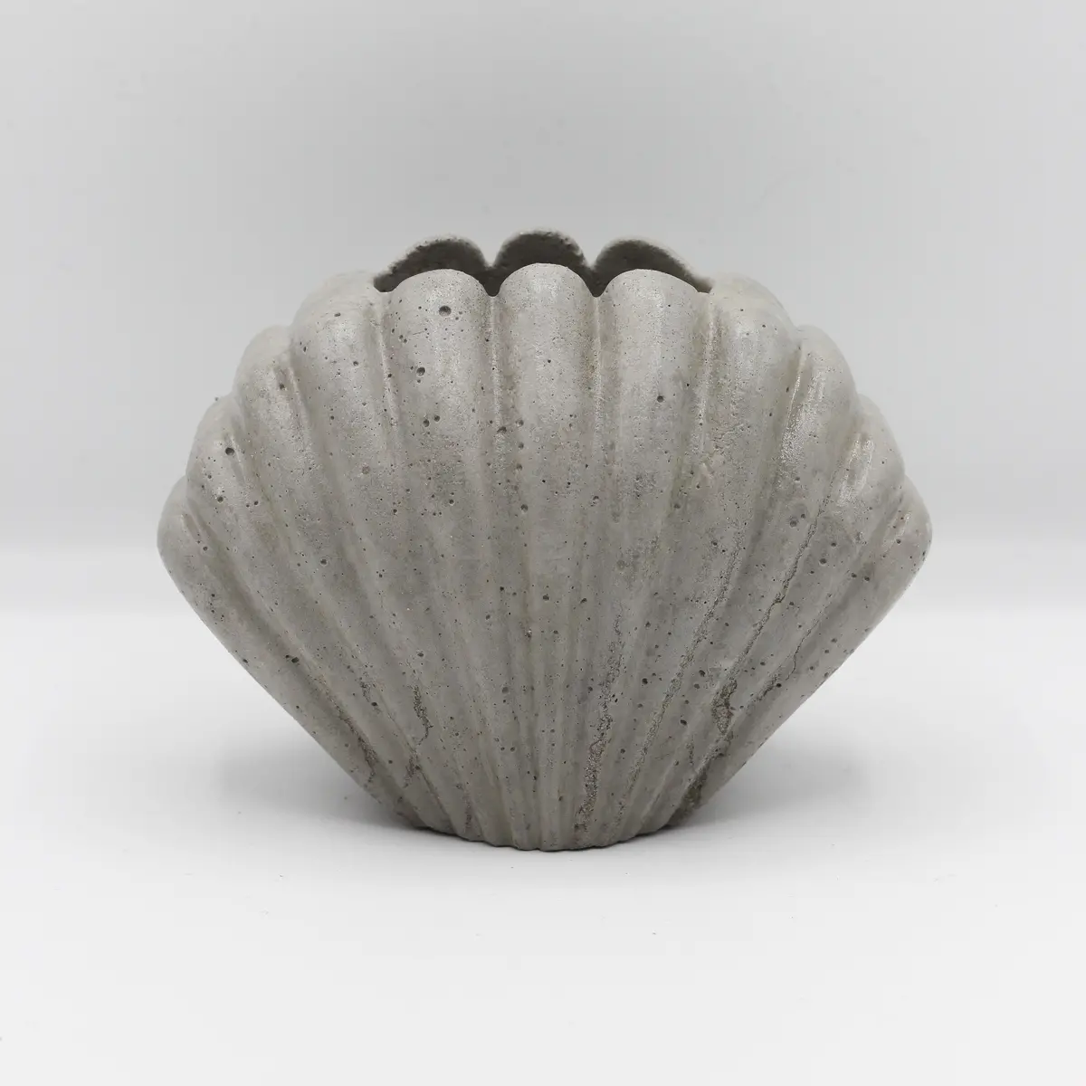 Betonvase; Vase ; Trockenblumenvase „Muschel“ 1