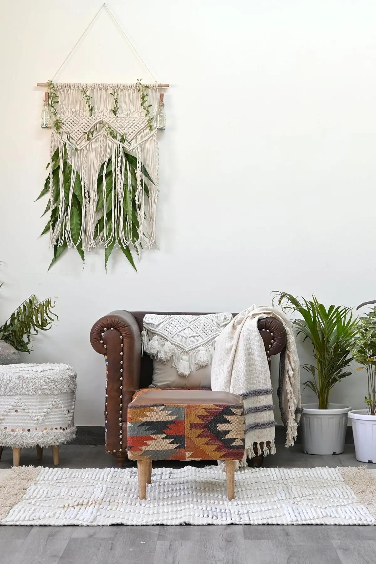 Calix  Back Arm Chair 1