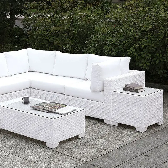 Somani Sectional + Coffee Table 1