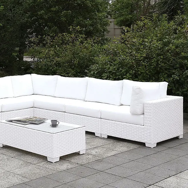 Somani L-Sectional + Coffee Table 1