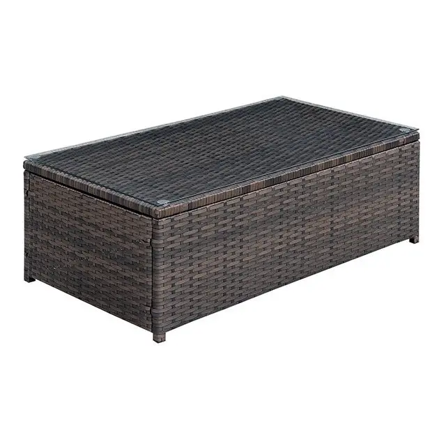 Ilona Brown/Beige Coffee Table 1