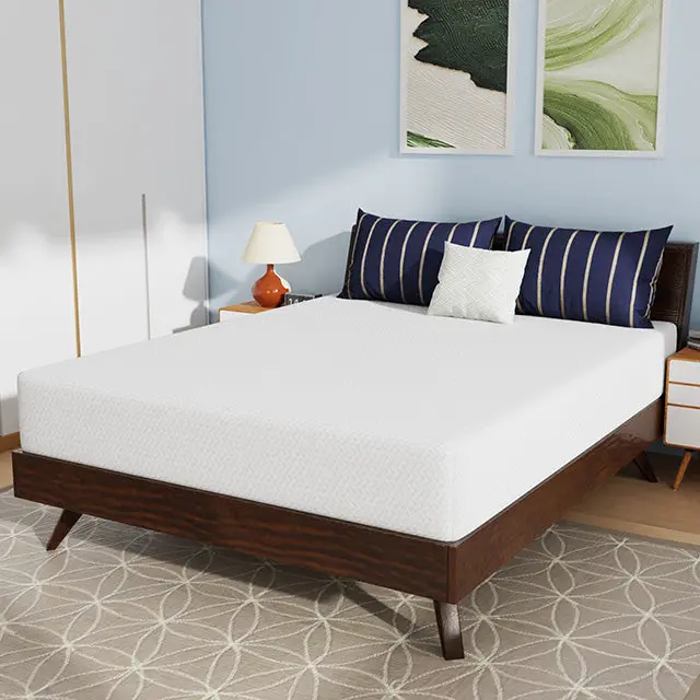 Nasturtium 10" Queen Bamboo Charcoal Infused Memory Foam 1