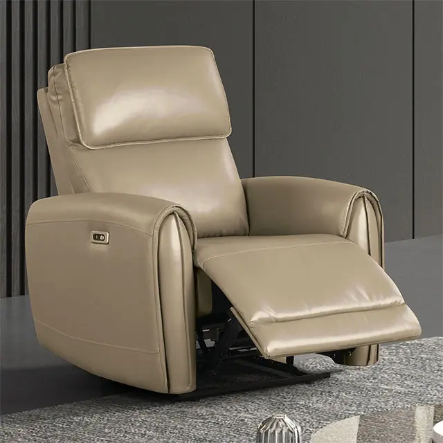 Schlieren Power Recliner 1
