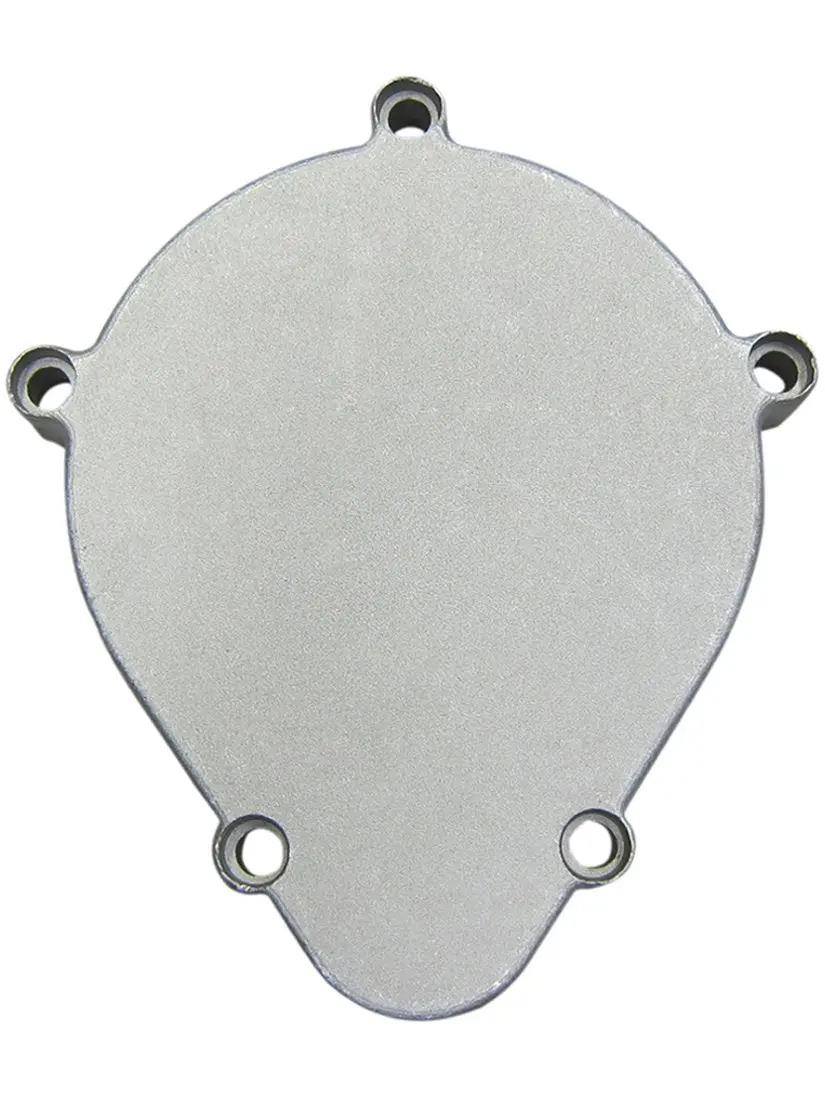 Gear Case Cover 1