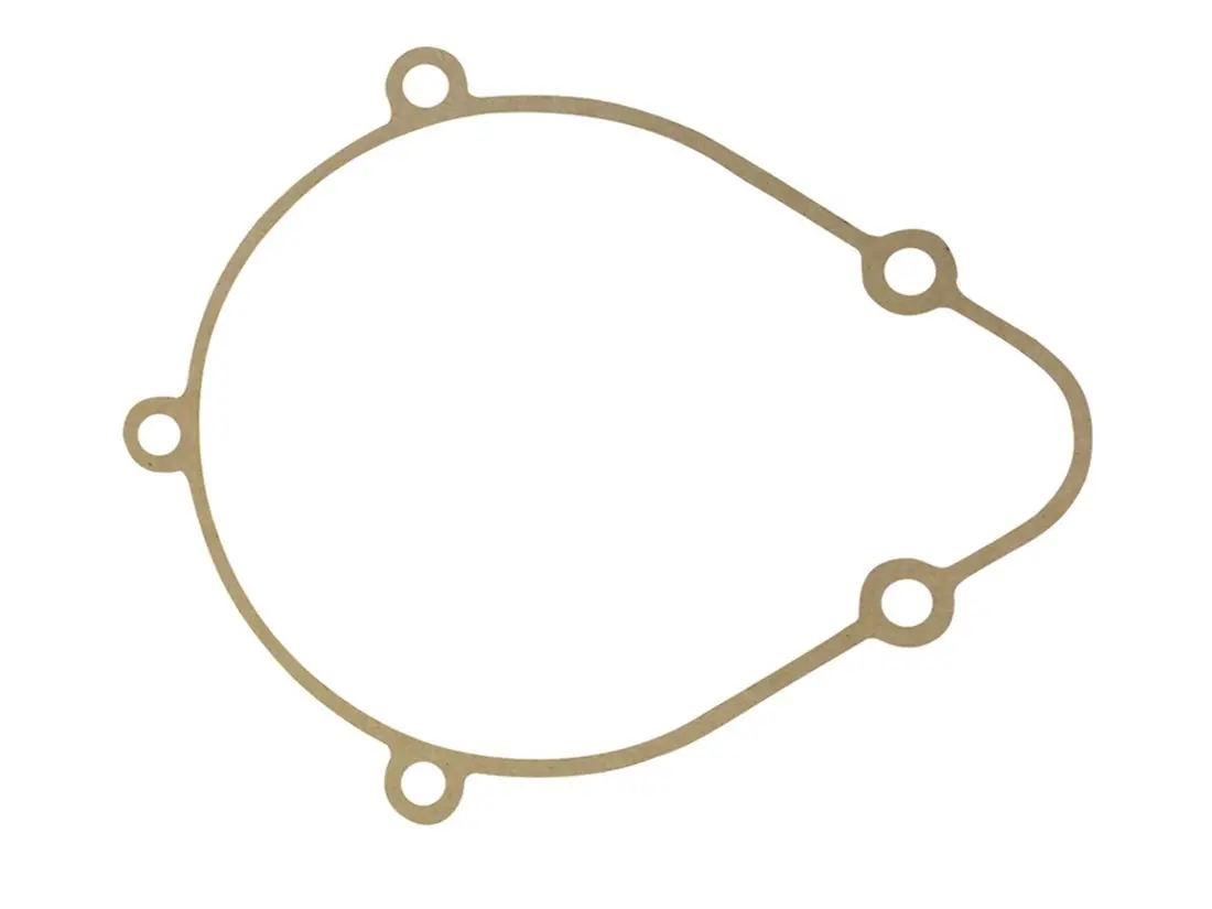 Gear Case Gasket 1