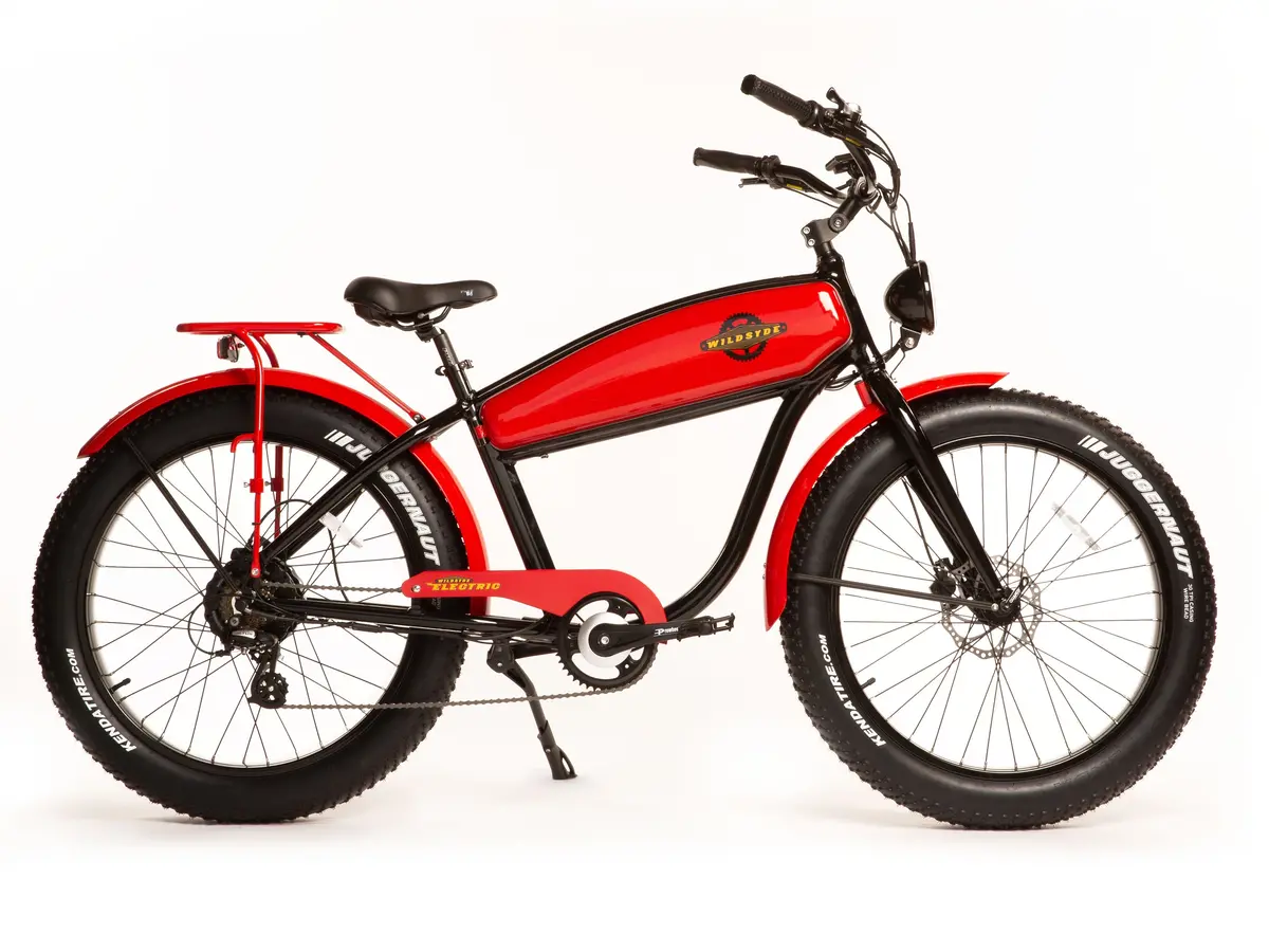 Wildsyde 750W Beast 20Ah Retro Cruiser  Electric Bike 1