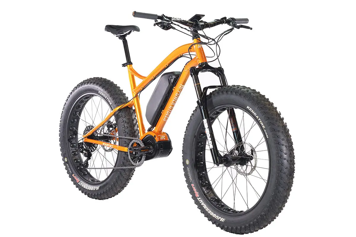 Hpc 750W Titan Step Over All Terrain Electric Bike 3