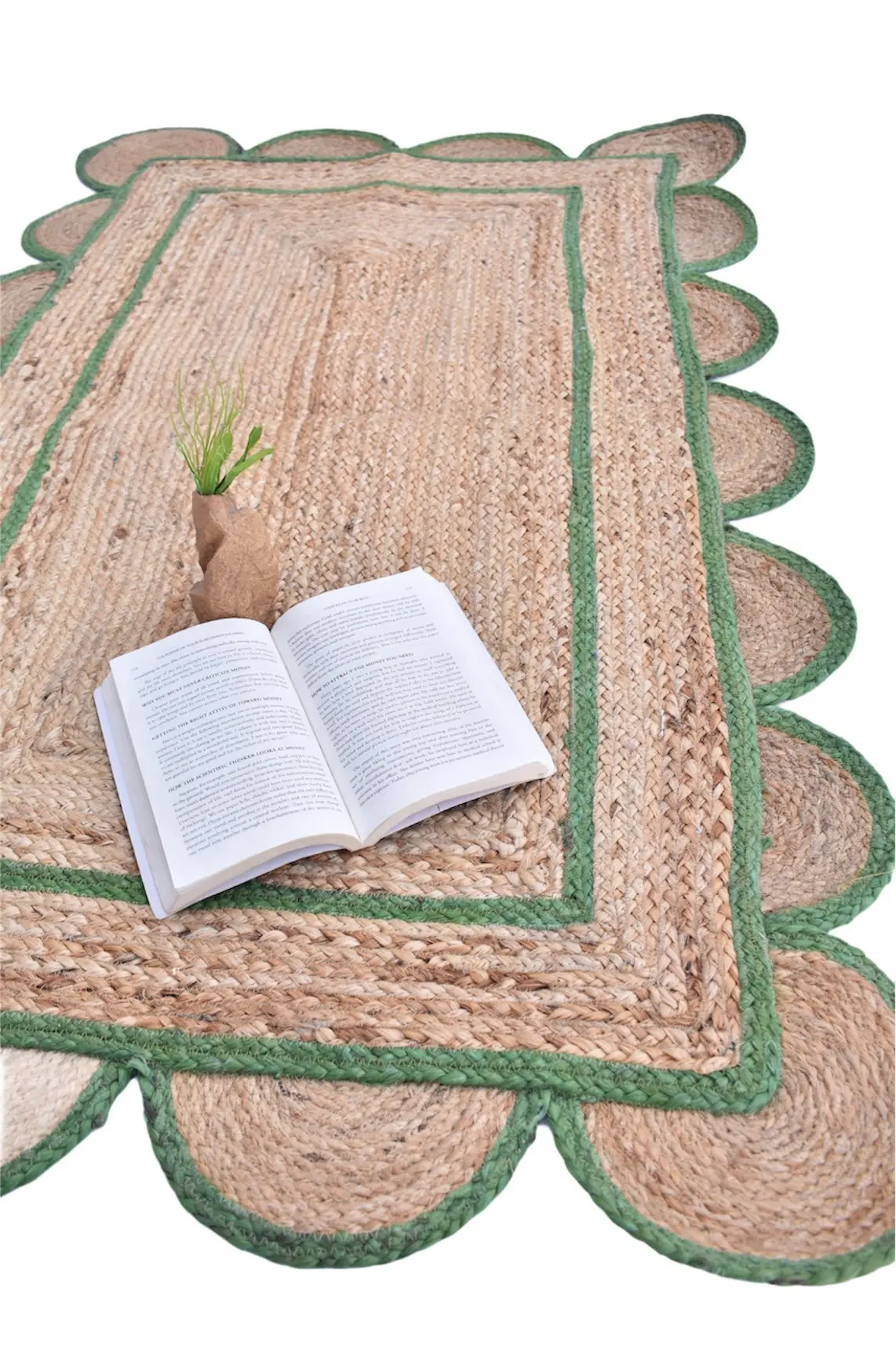 Jordan - Braided Rug 3