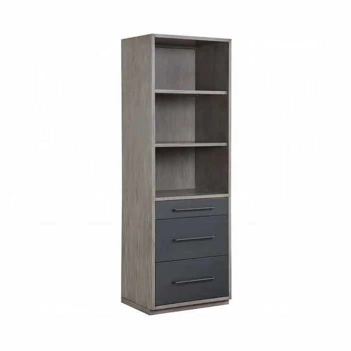 Estevon Bookcase 1