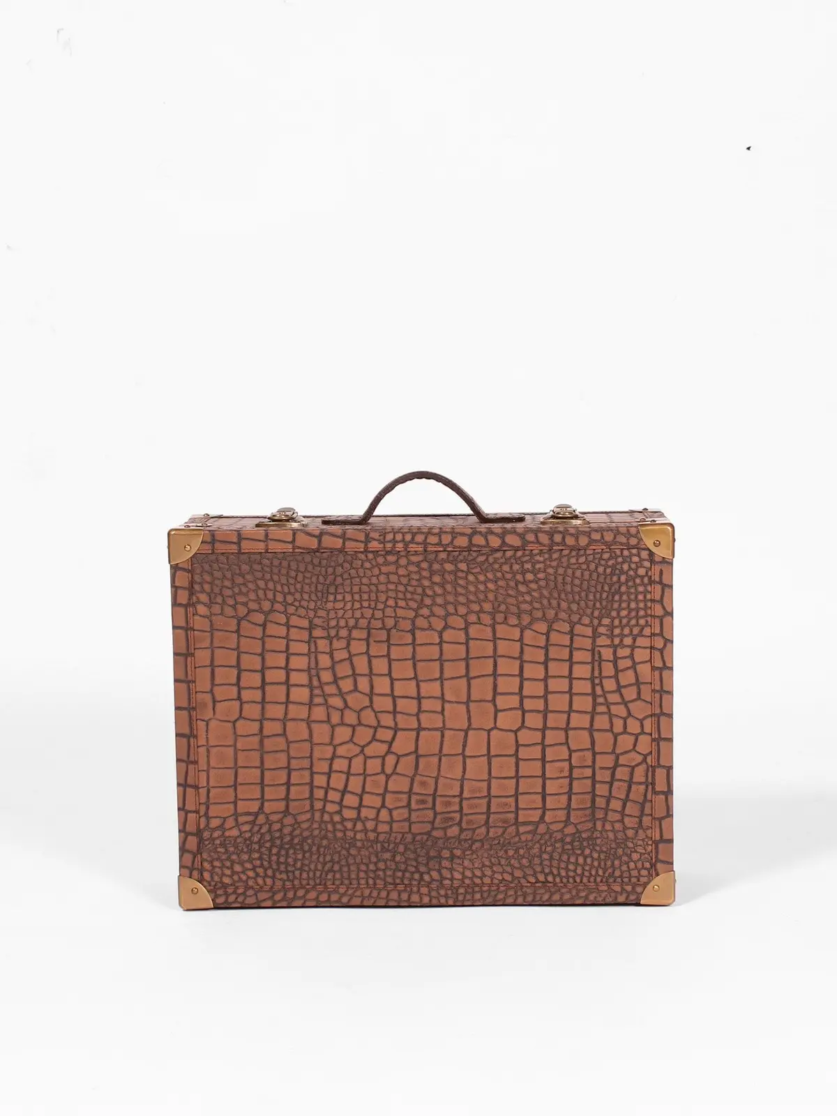 Treasure   - Briefcase 1