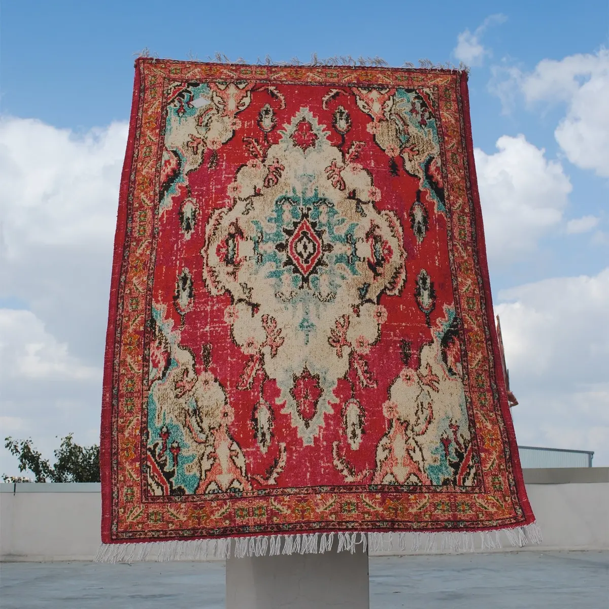 Velutina - Printed Rug 2