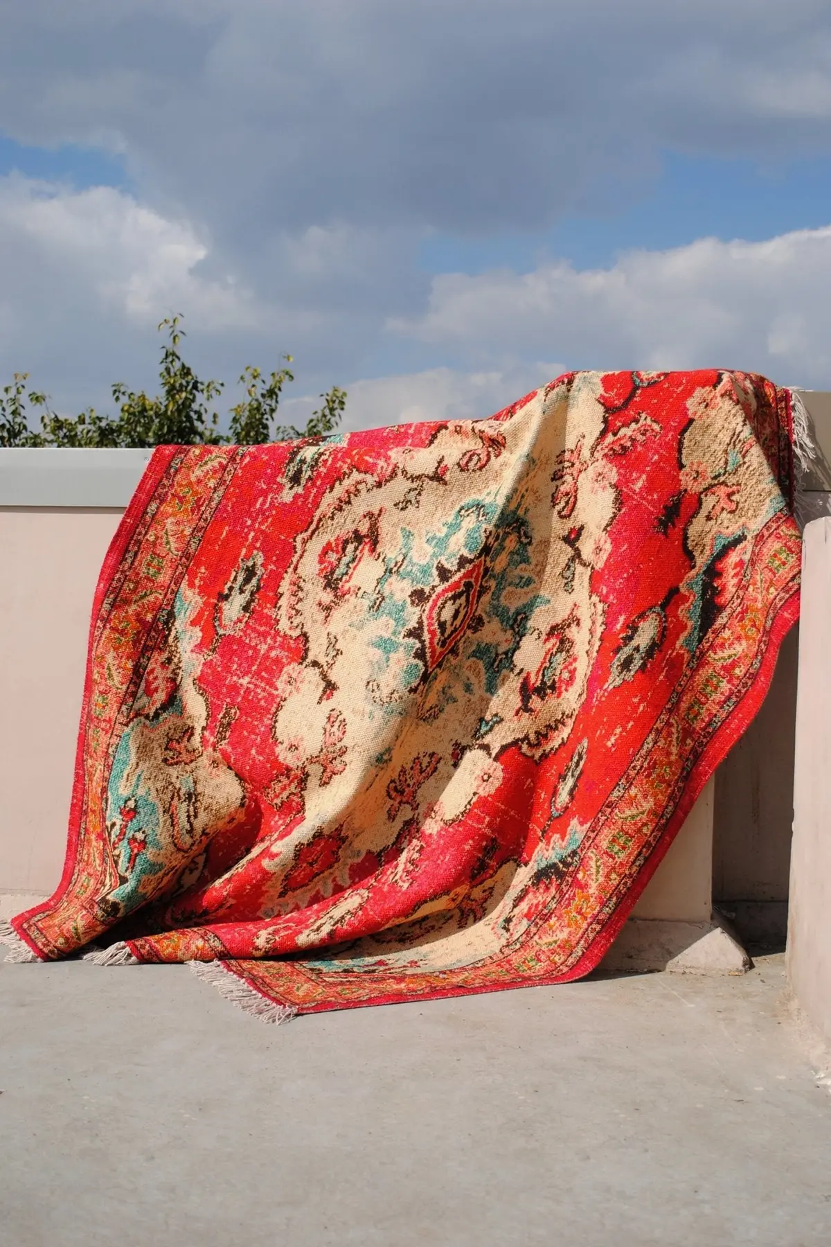 Velutina - Printed Rug 3