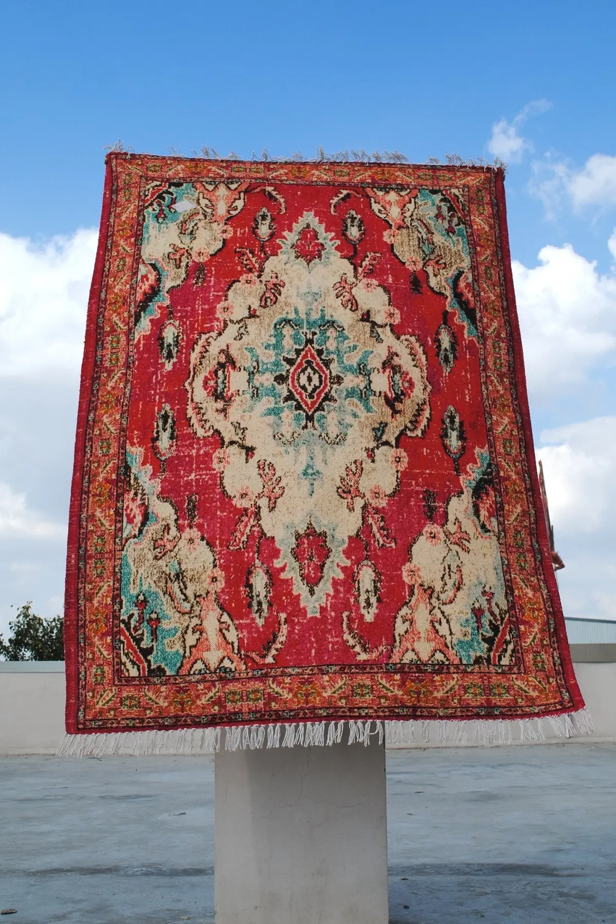 Velutina - Printed Rug 1