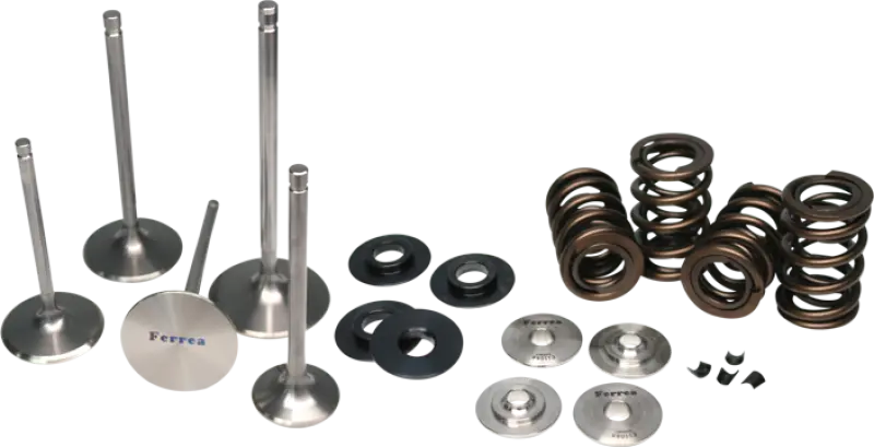 Ferrea Honda H22 Pac Enhanced Dual Spring Kit 1