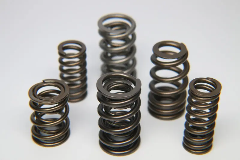 Ferrea Gm L5 Dual Valve Spring – High-Pressure Single Spring For Special Applications 1